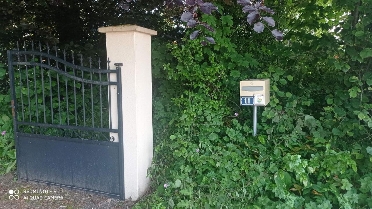 La Bella 12 - Appartement Gite Dans Maison D'Hotes Bordeaux-Saint-Clair Zewnętrze zdjęcie