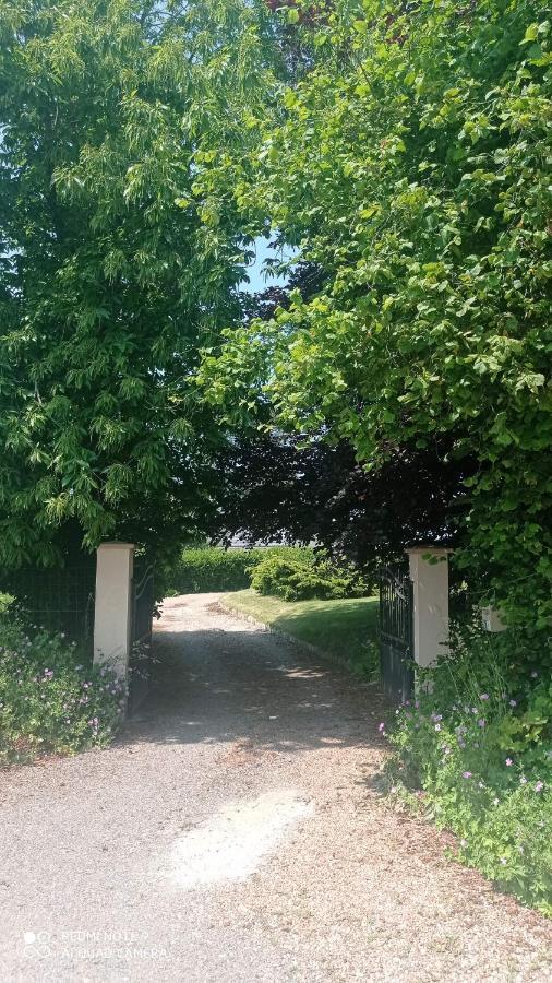 La Bella 12 - Appartement Gite Dans Maison D'Hotes Bordeaux-Saint-Clair Zewnętrze zdjęcie